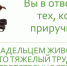 Информация в сфере ответственного обращения с животными - Город Черепаново