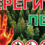Лес — наше богатство. Берегите лес от пожара! - Город Черепаново